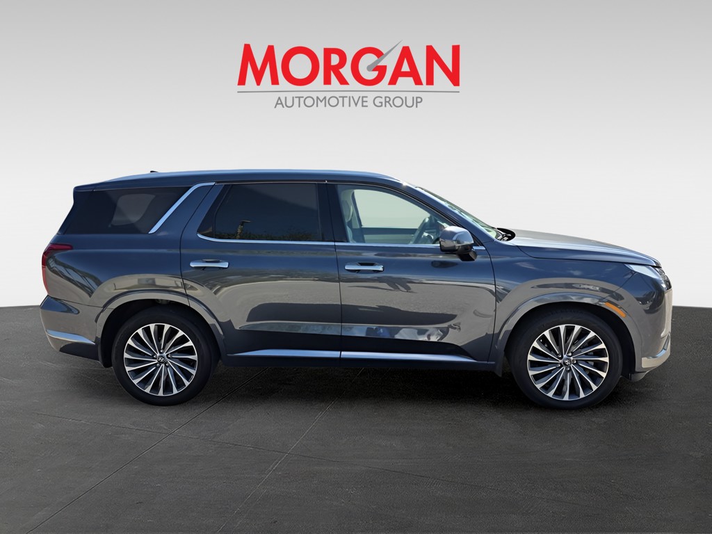 2025 Hyundai Palisade - Photo 7