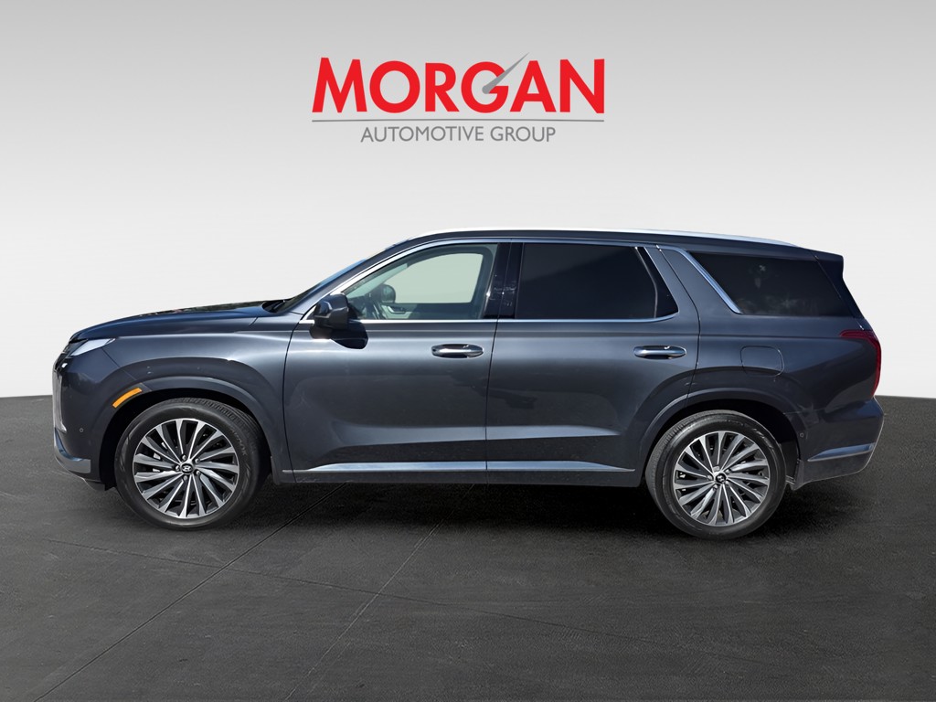 2025 Hyundai Palisade - Photo 8