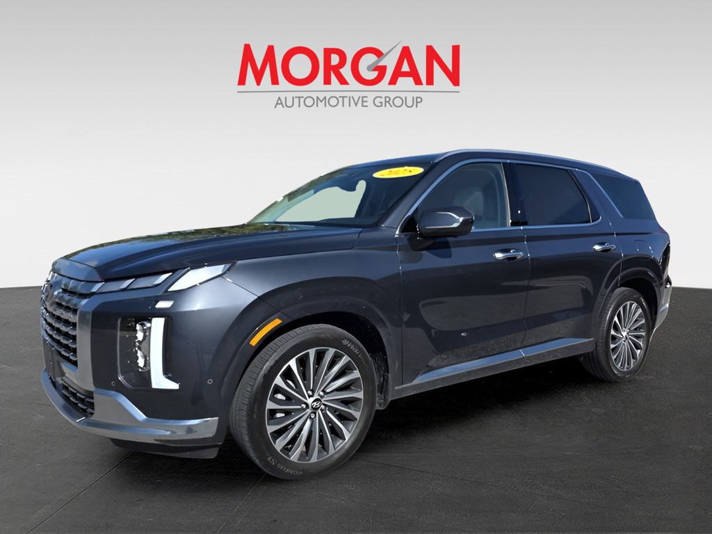 2025 Hyundai Palisade - Photo 2