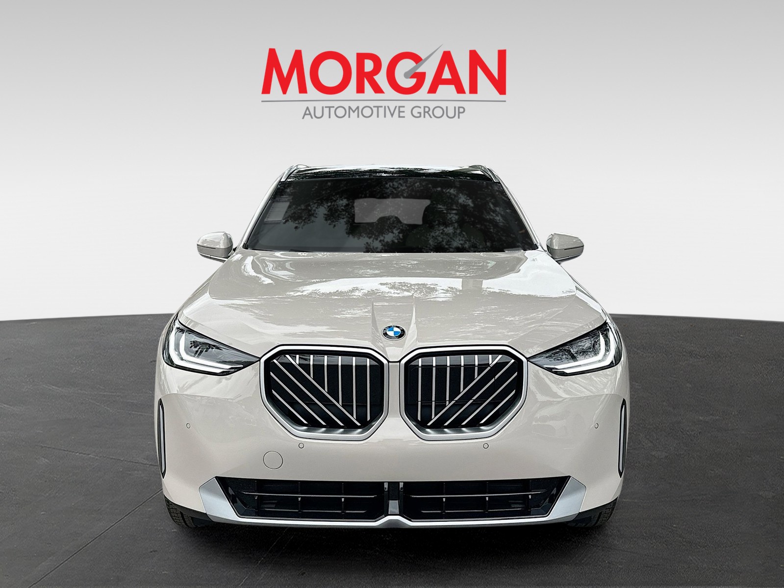 2026 BMW X3 - Photo 3