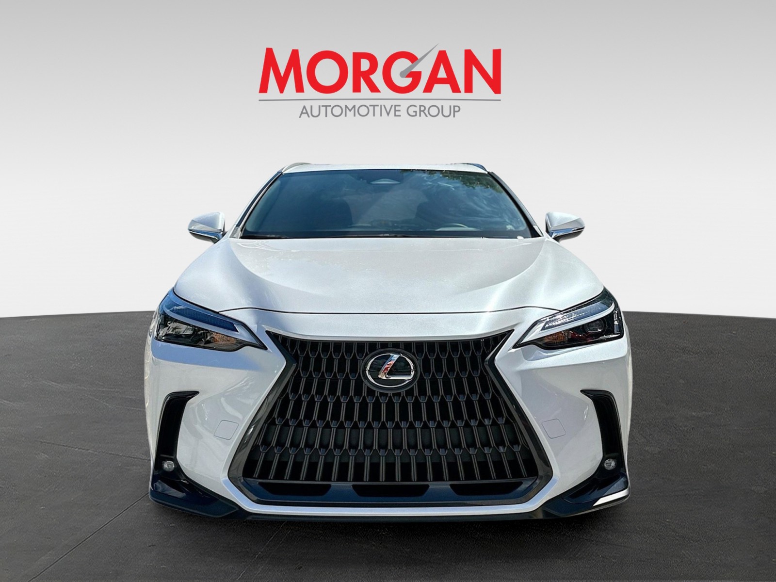 2024 Lexus NX - Photo 3