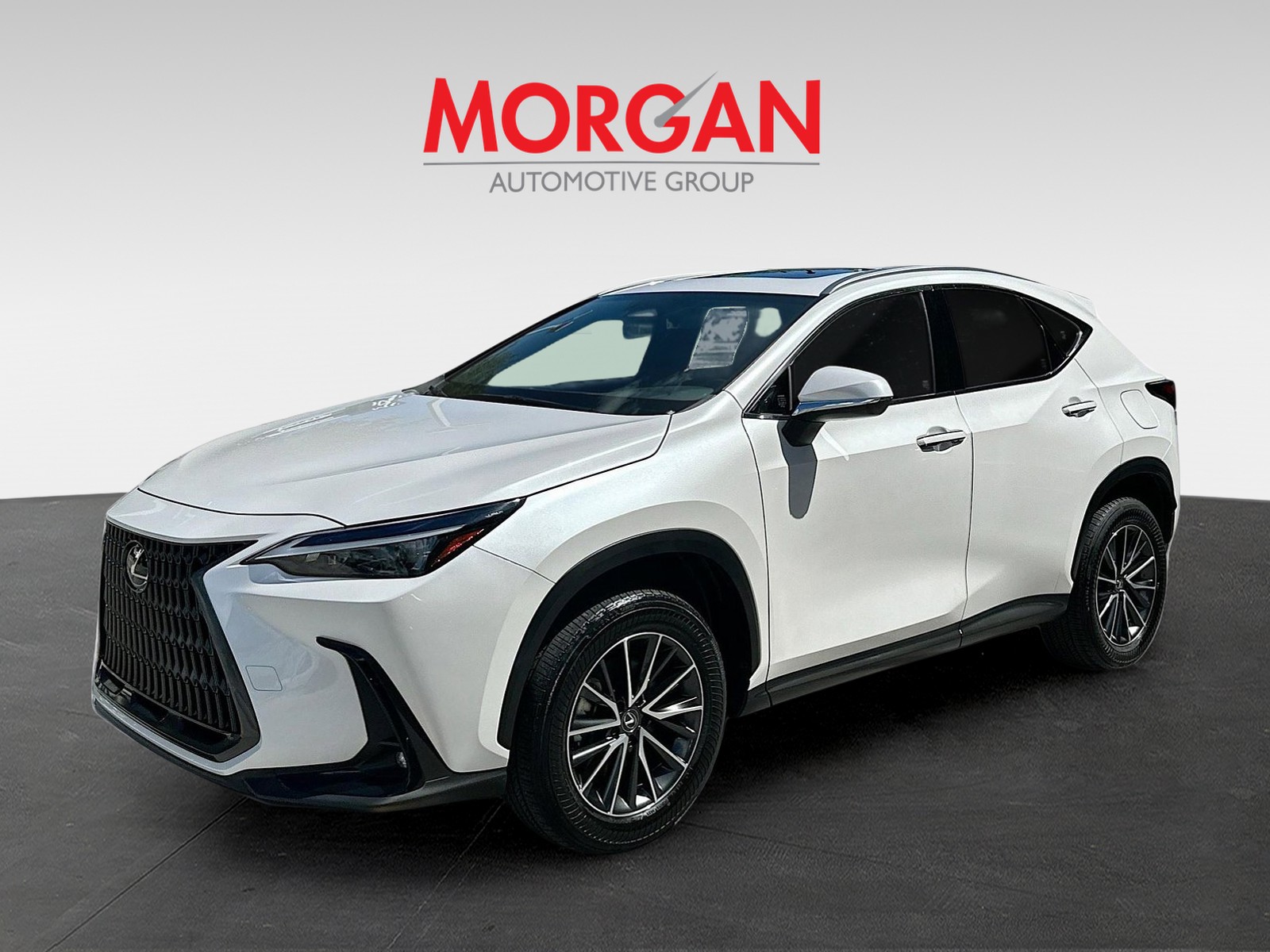 2024 Lexus NX - Photo 2