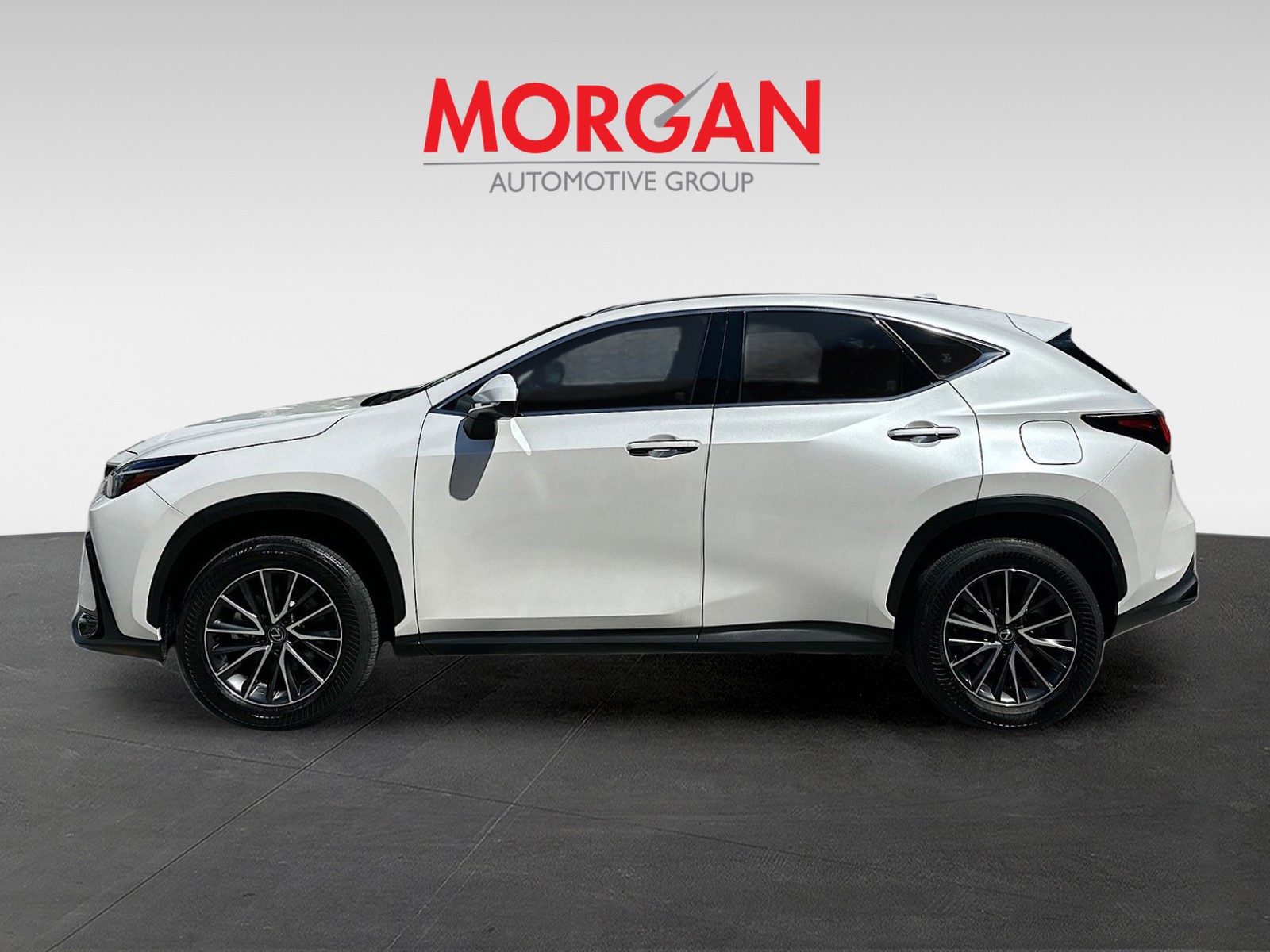 2024 Lexus NX - Photo 7