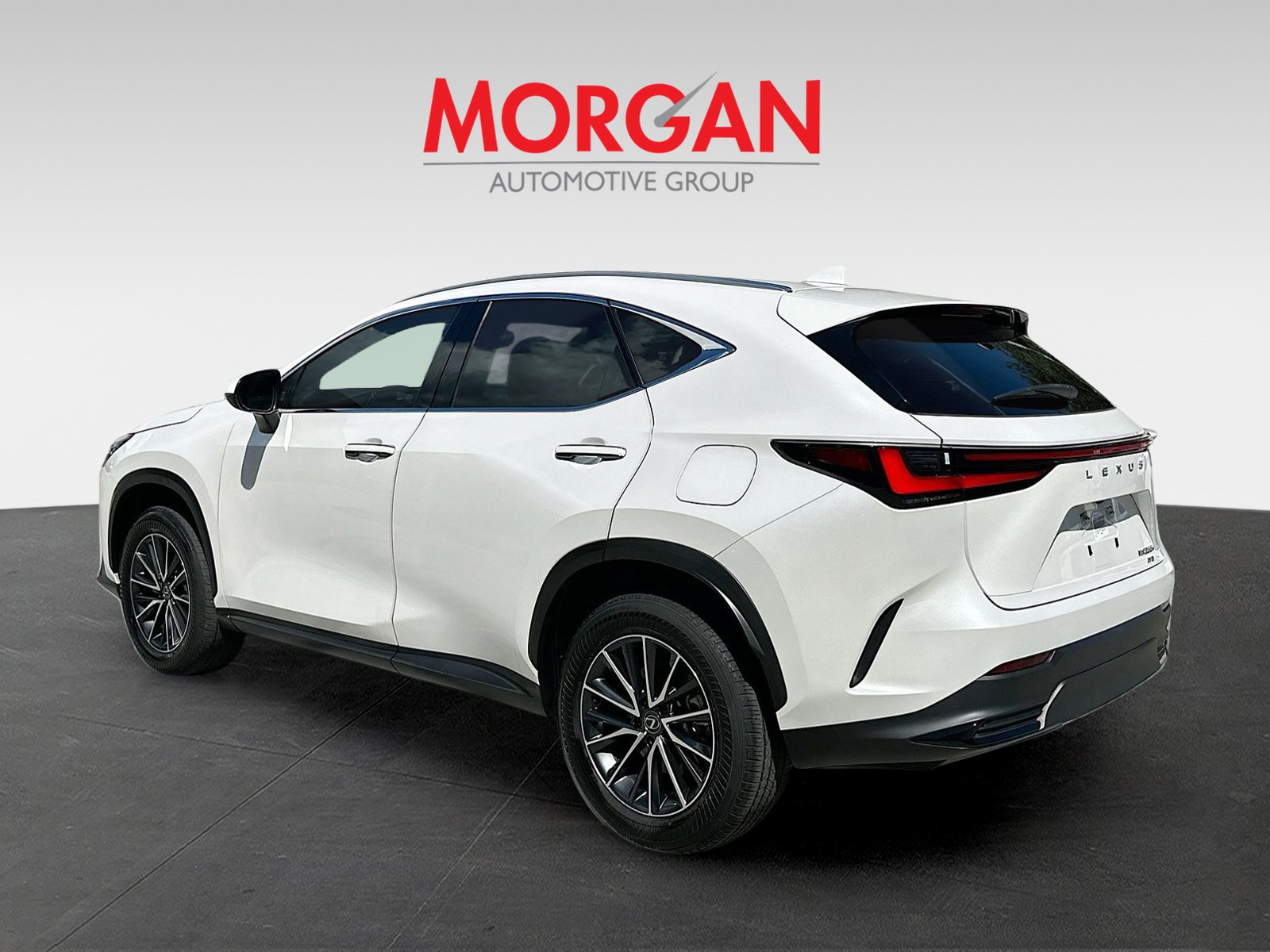 2024 Lexus NX - Photo 4