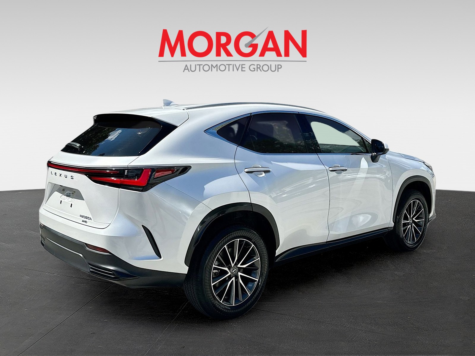 2024 Lexus NX - Photo 5