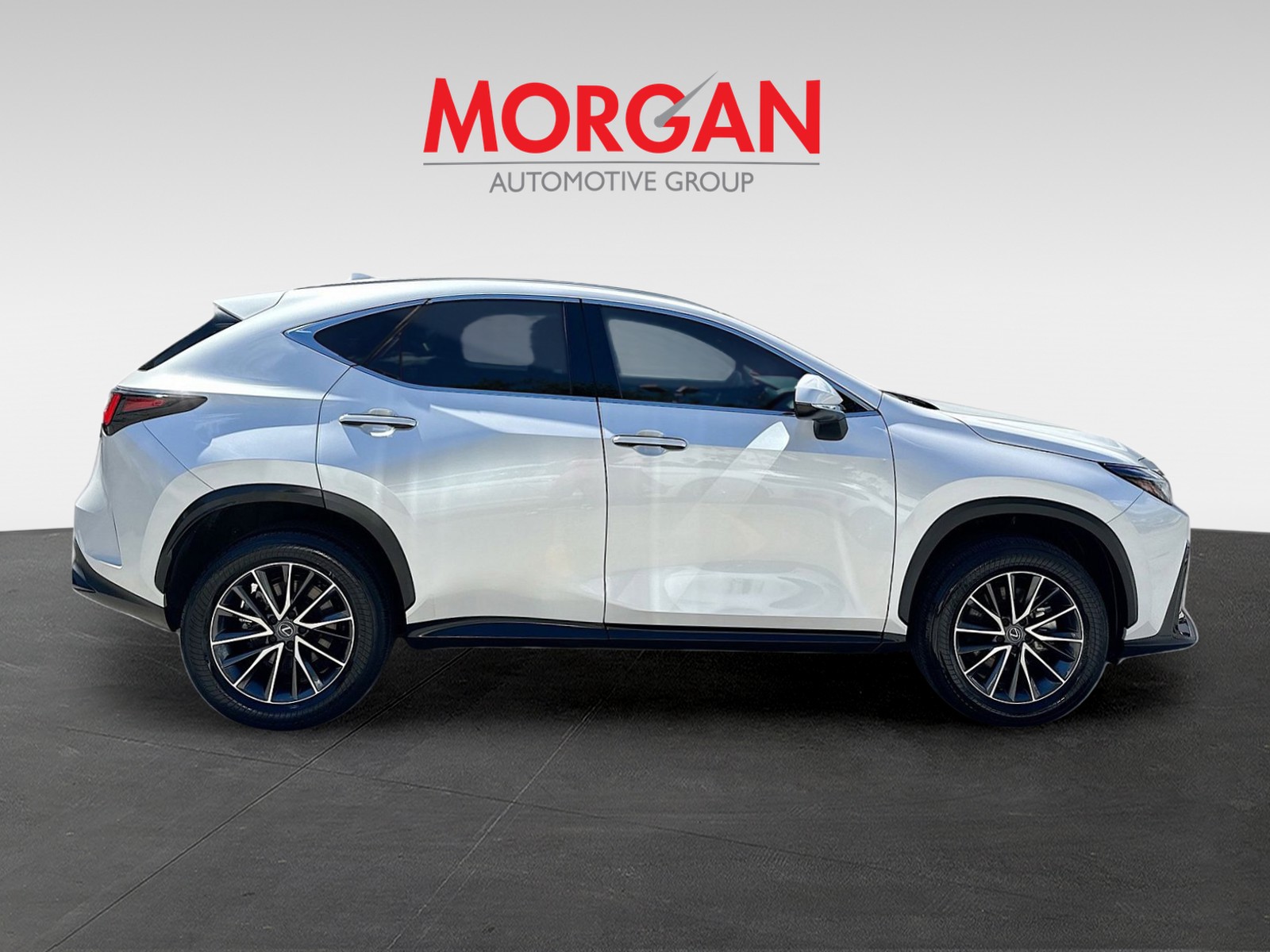 2024 Lexus NX - Photo 8