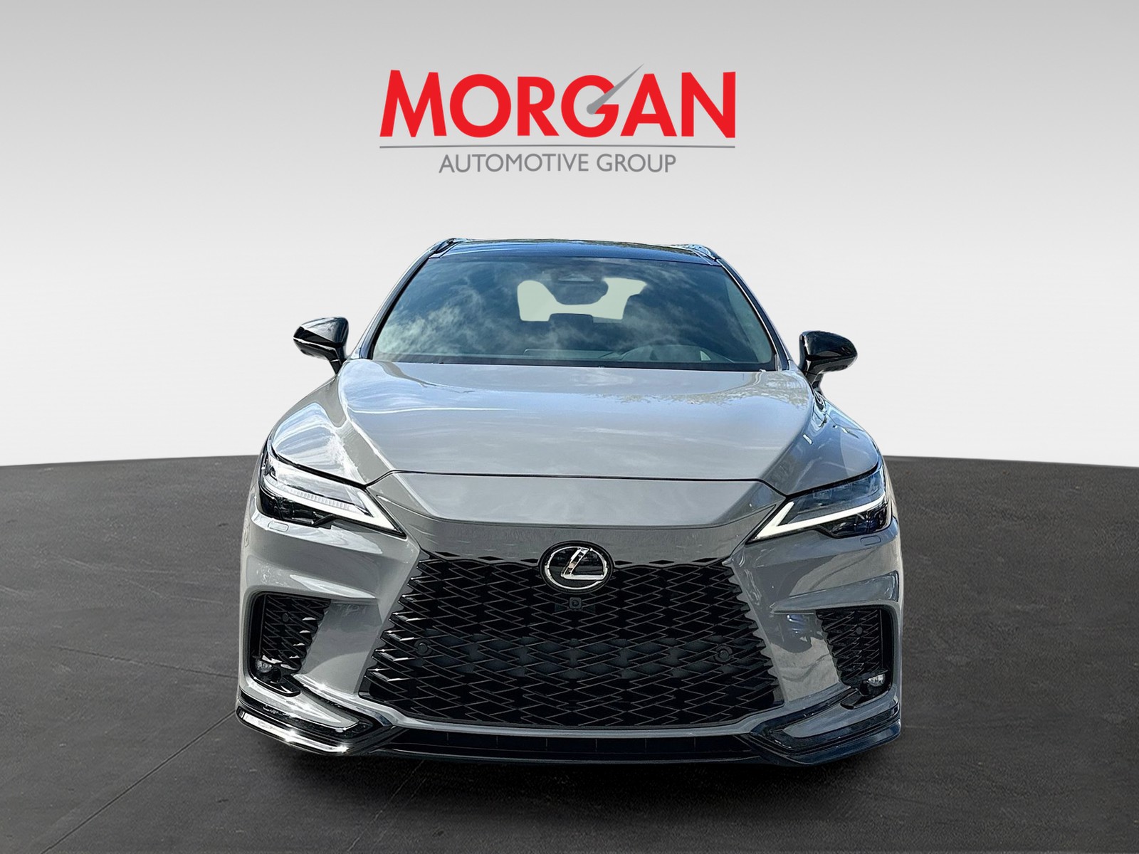 2025 Lexus RX - Photo 2