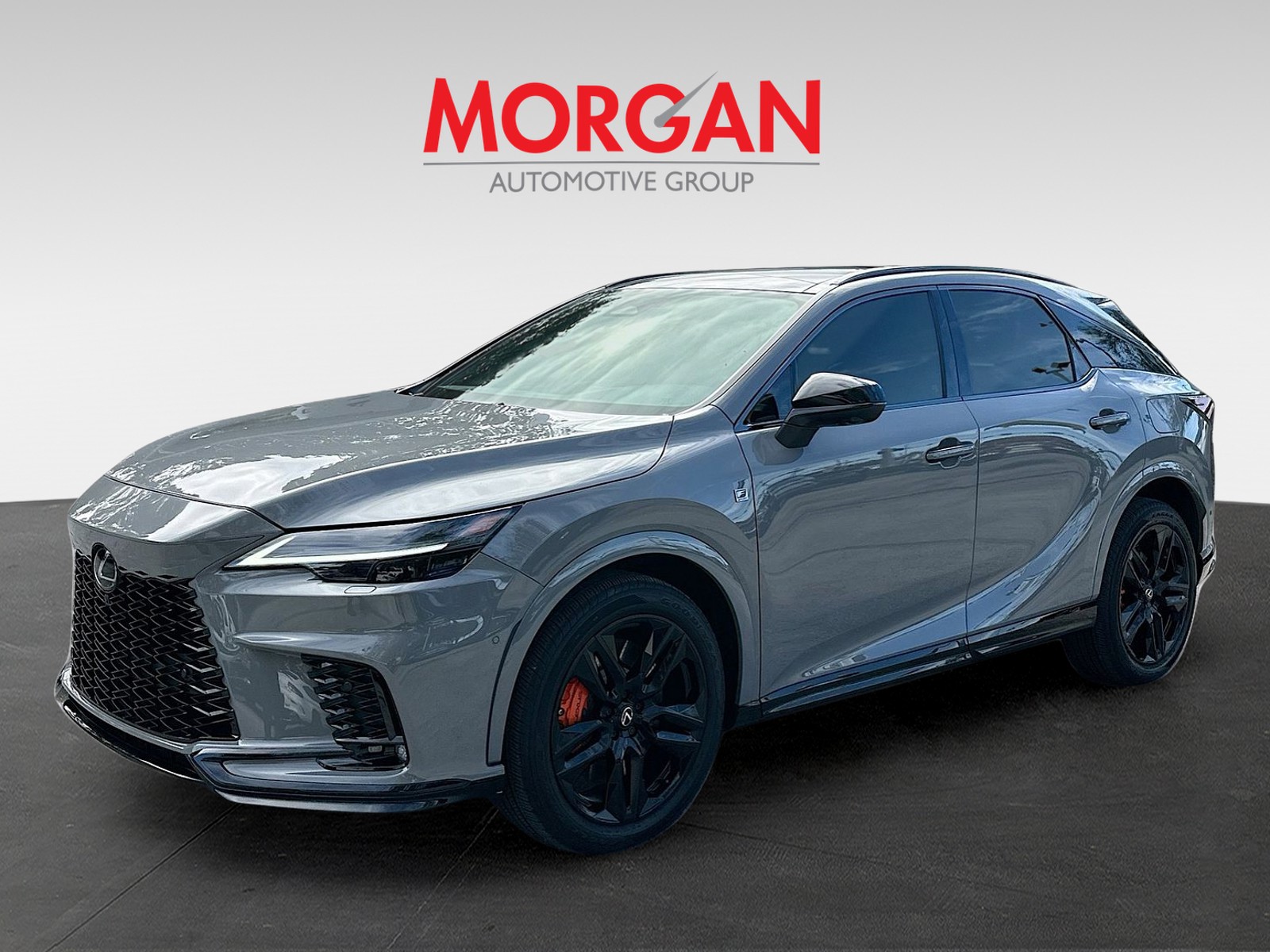 2025 Lexus RX - Photo 3