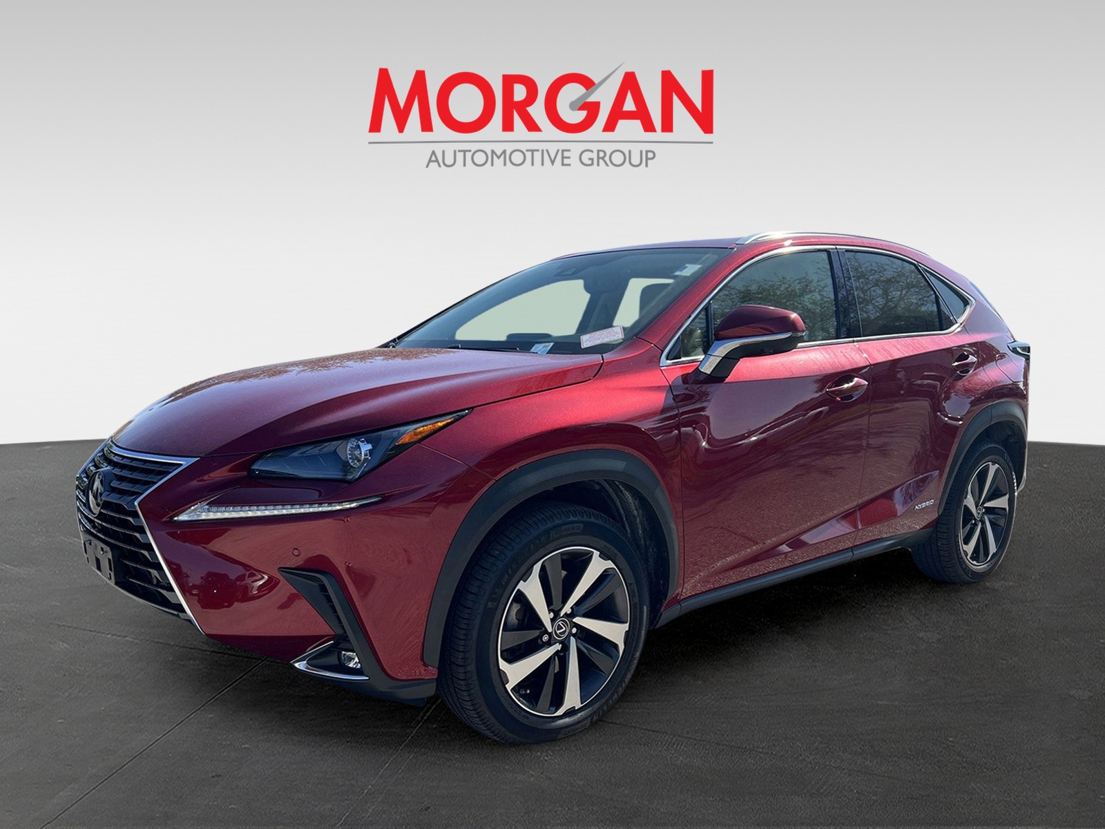 2021 Lexus NX - Photo 3