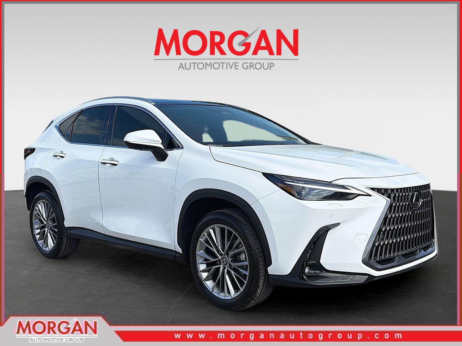 2026 Lexus NX 350's photo