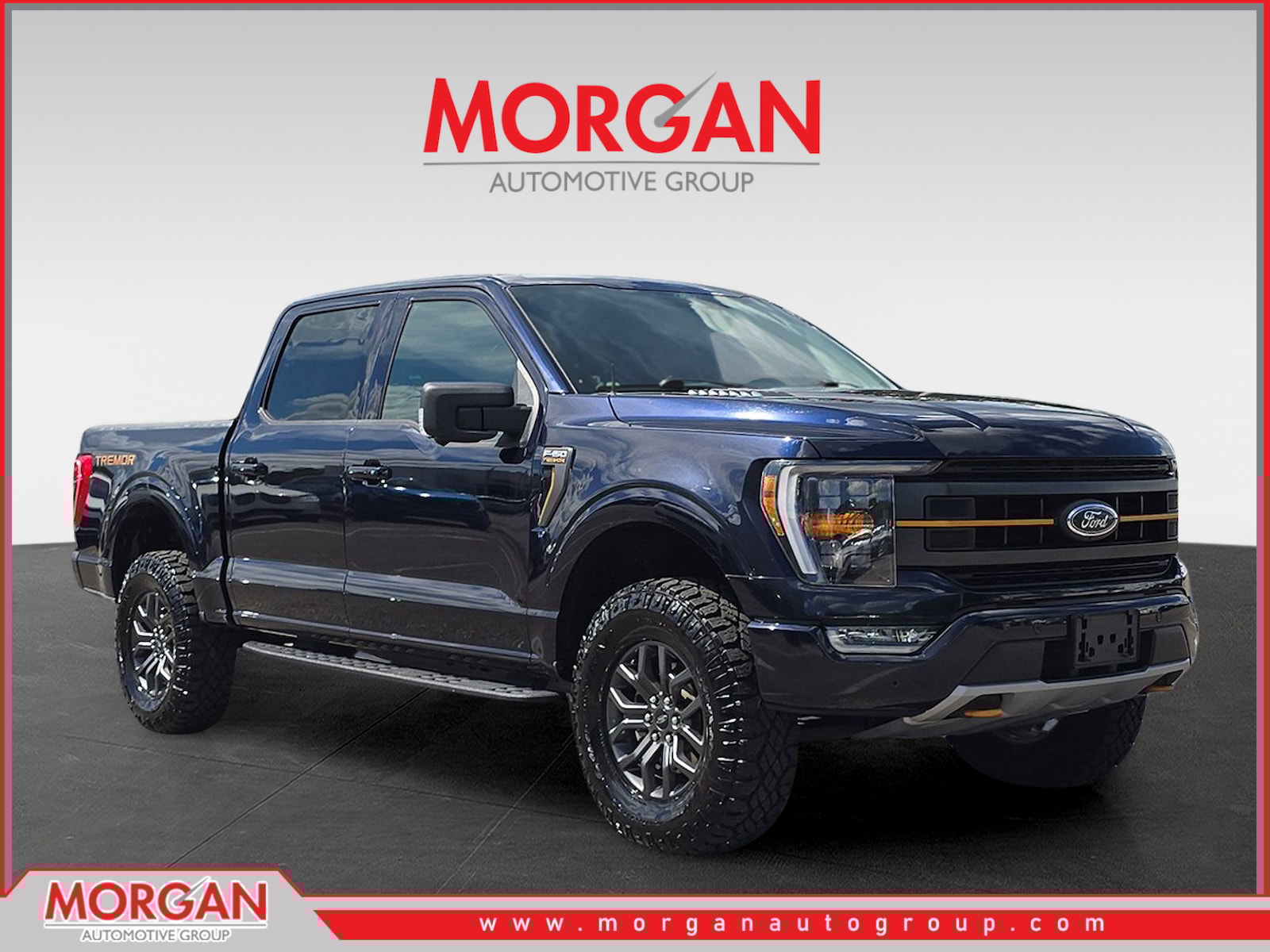 2021 Ford F-150 Tremor's photo