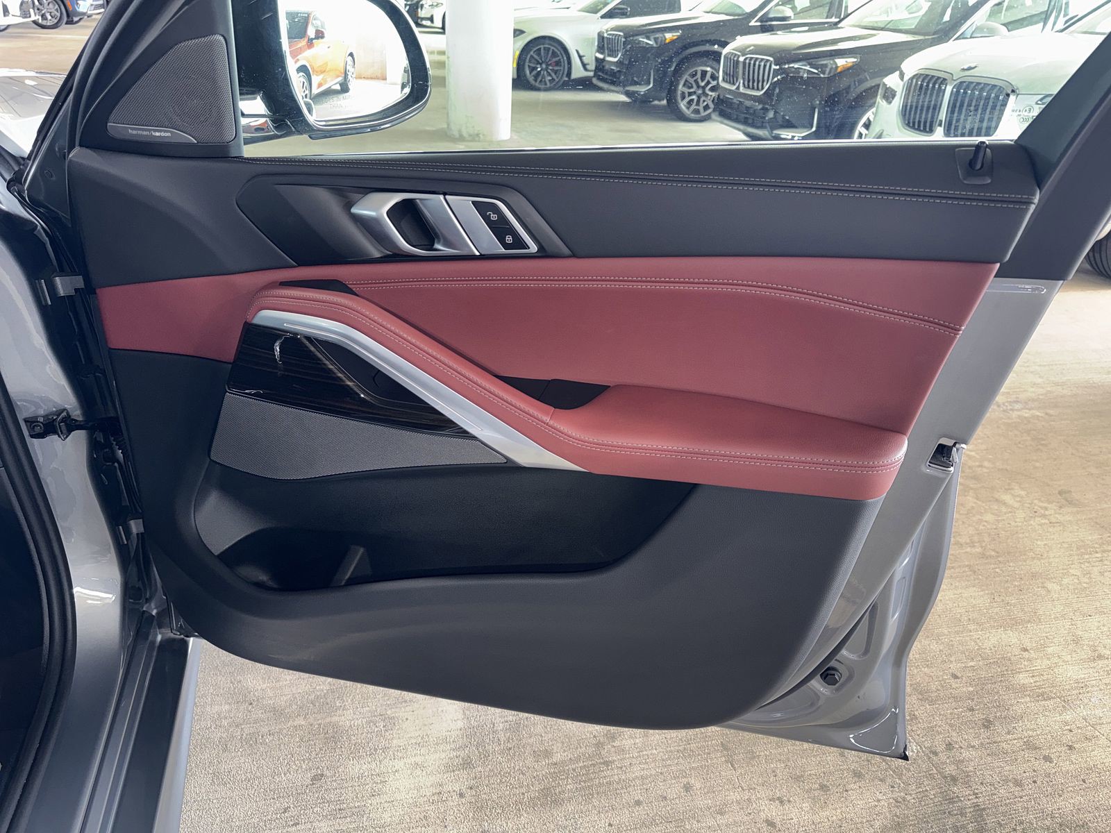 2025 BMW X6 - Photo 10
