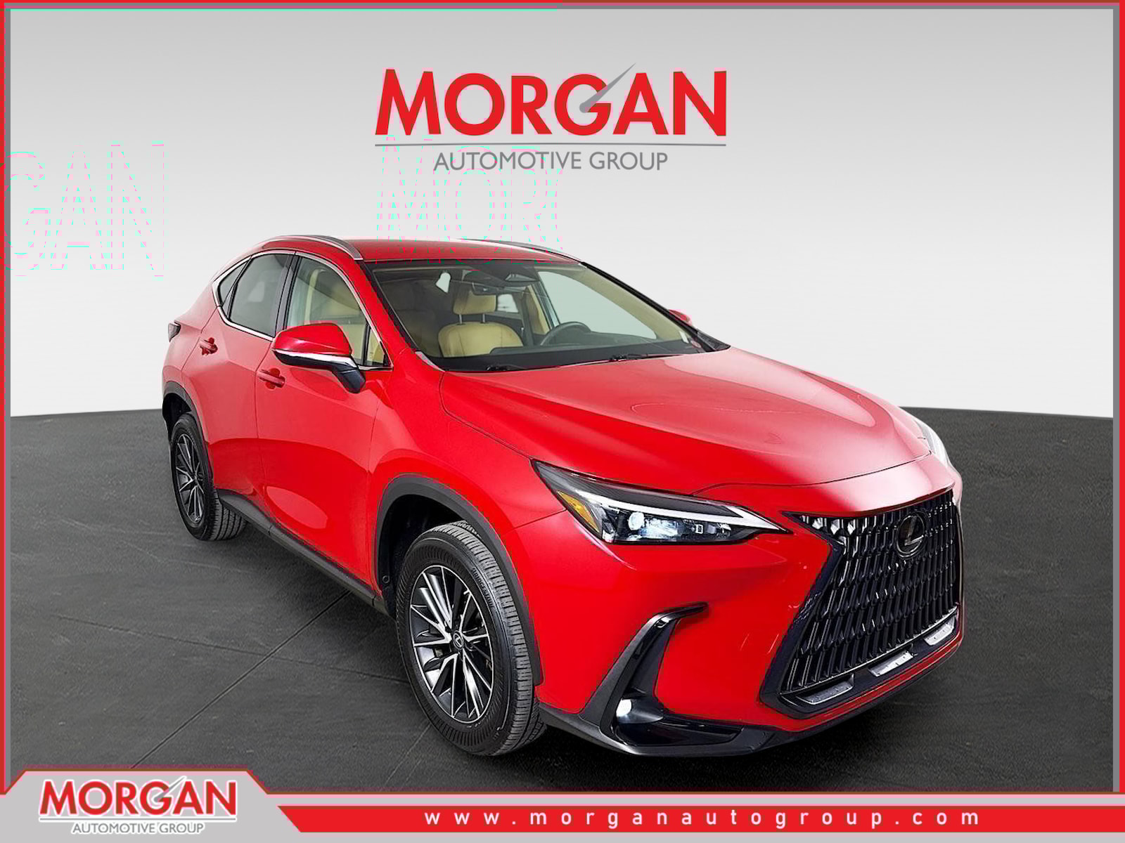 2023 Lexus NX 250's photo