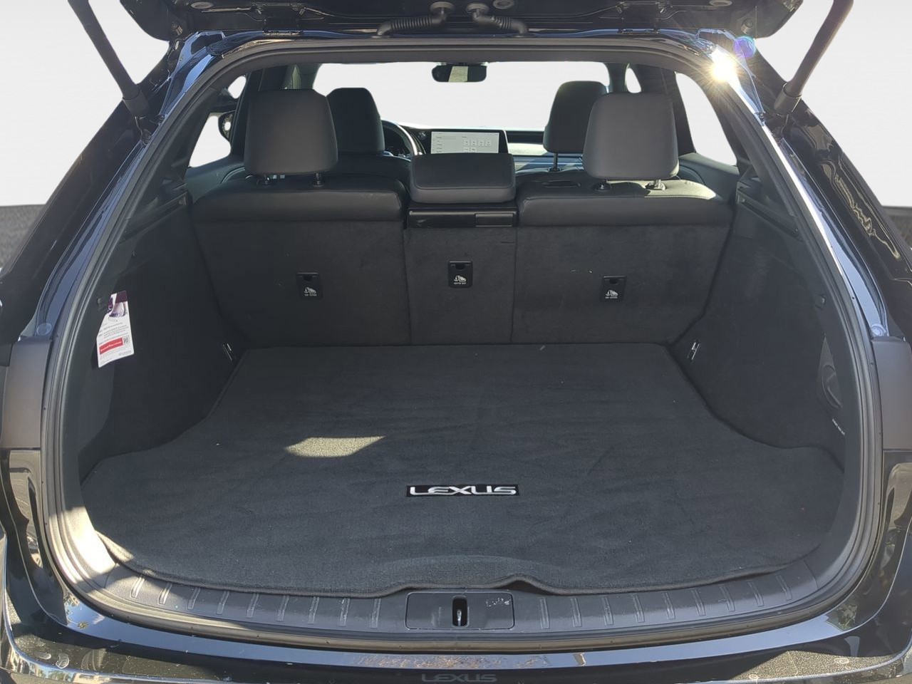 2023 Lexus RX - Photo 8