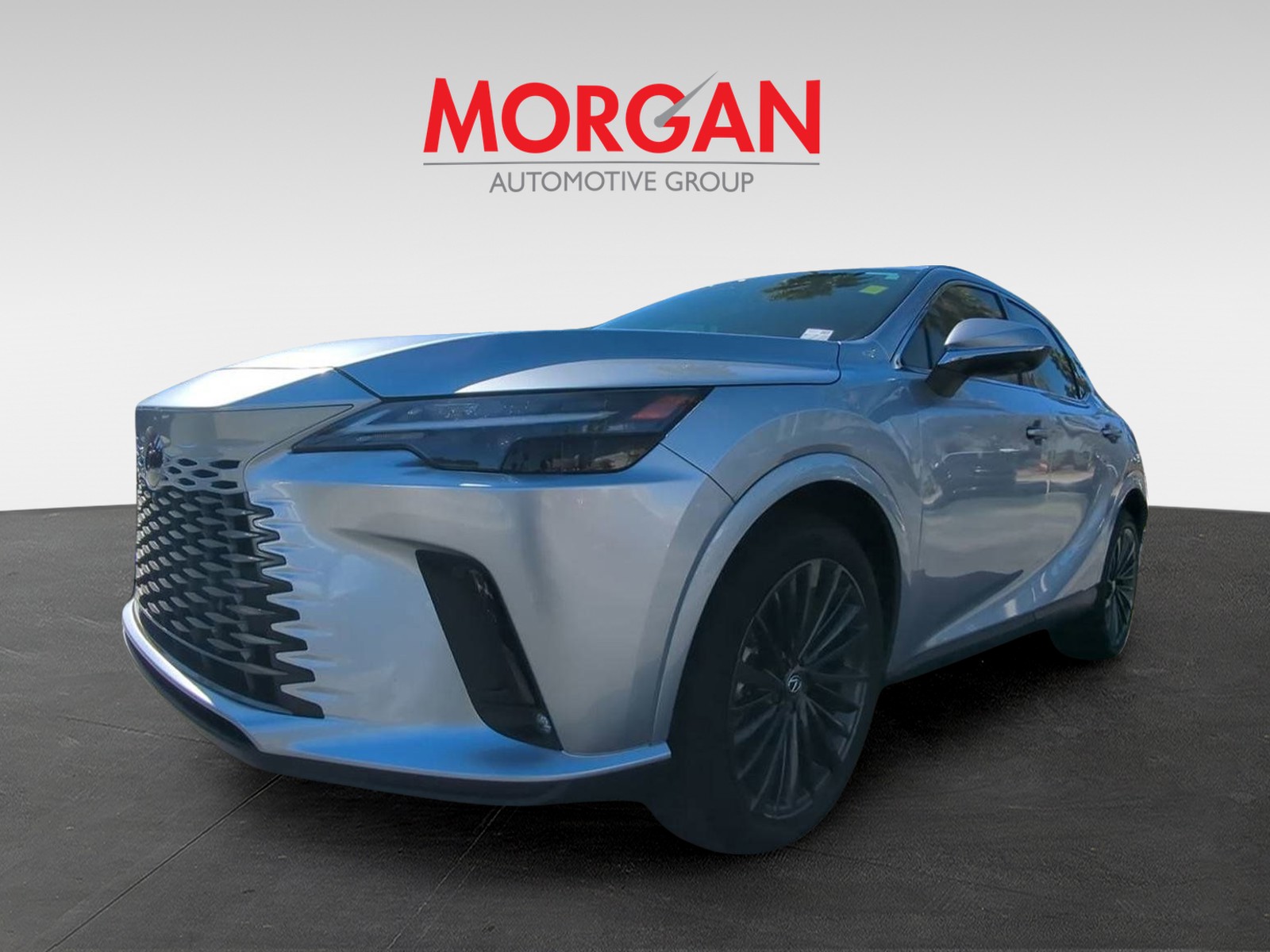 2025 Lexus RX - Photo 3