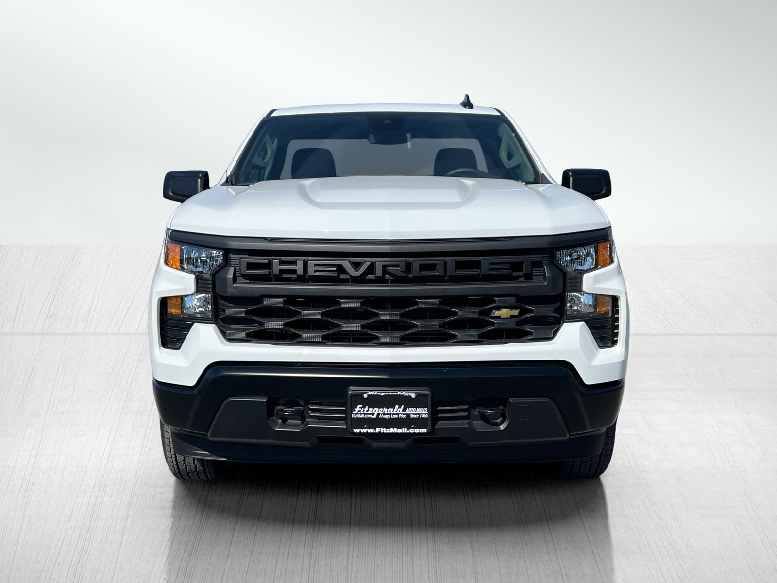 2025 Chevrolet Silverado 1500 Work Truck photo 5