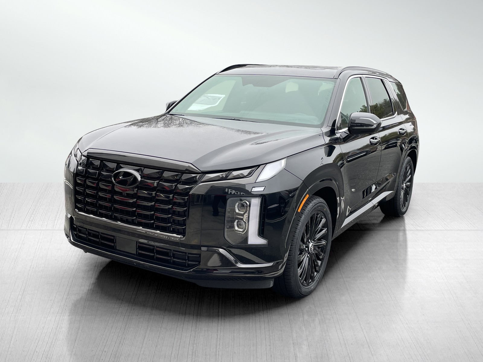 2024 Hyundai Palisade Calligraphy photo 2