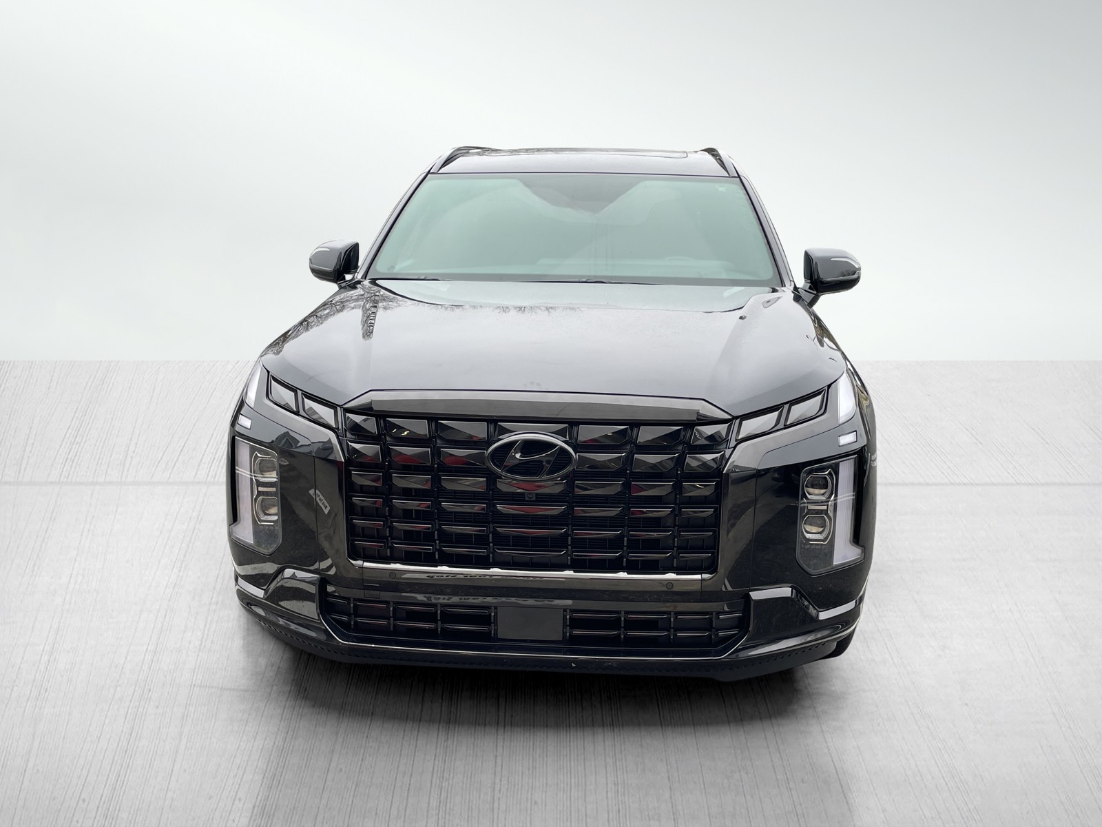 2024 Hyundai Palisade Calligraphy photo 7