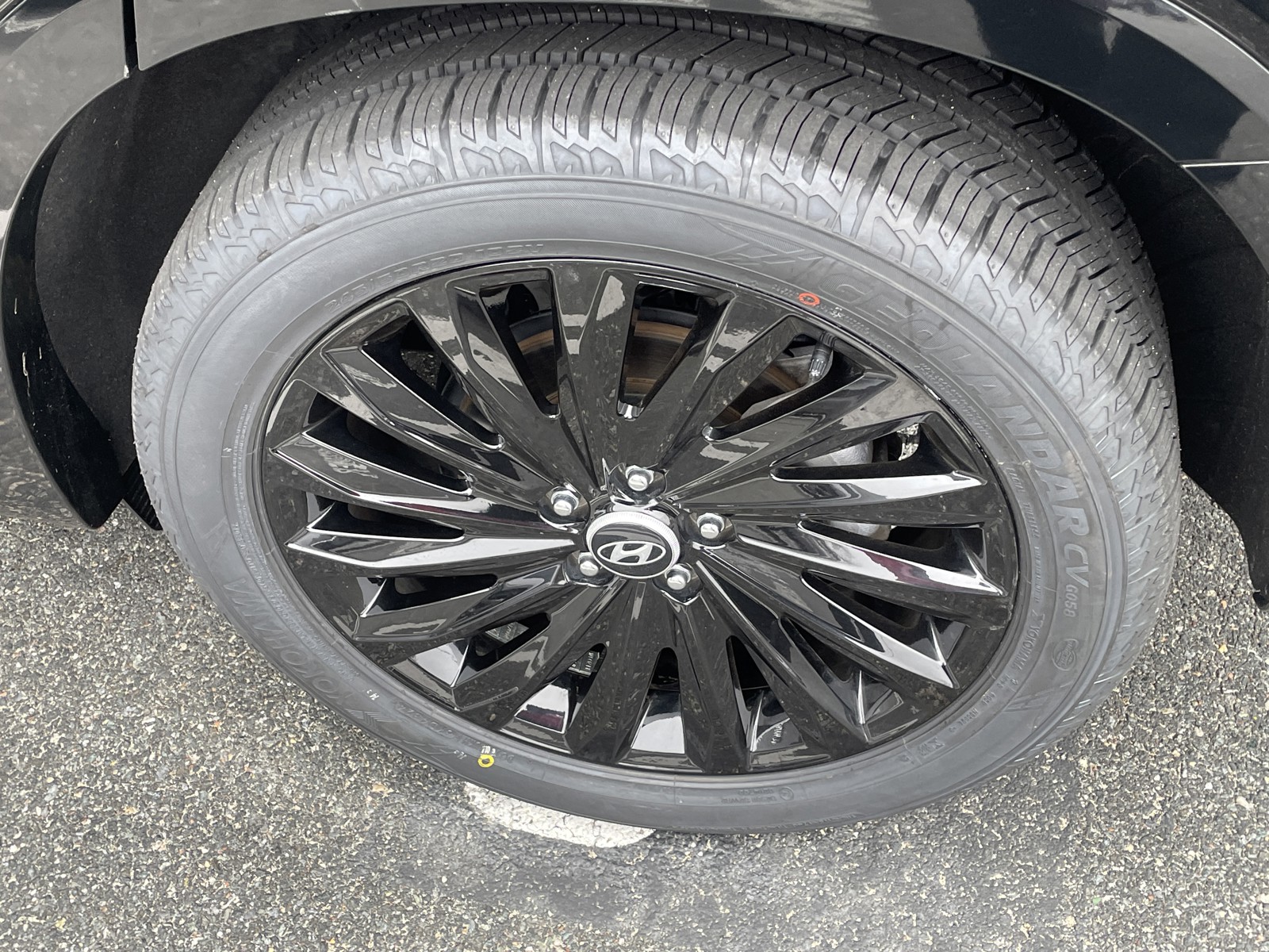 2024 Hyundai Palisade Calligraphy photo 9