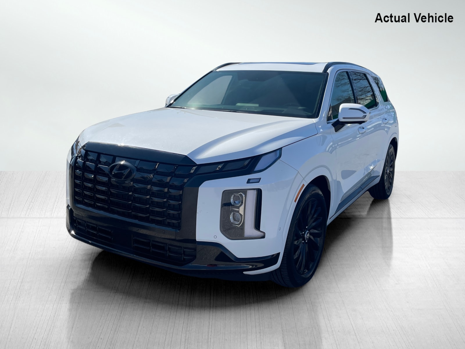 2024 Hyundai Palisade Calligraphy photo 7