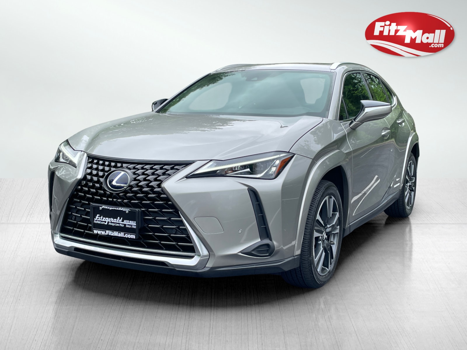 2022 Lexus UX 250h photo 2
