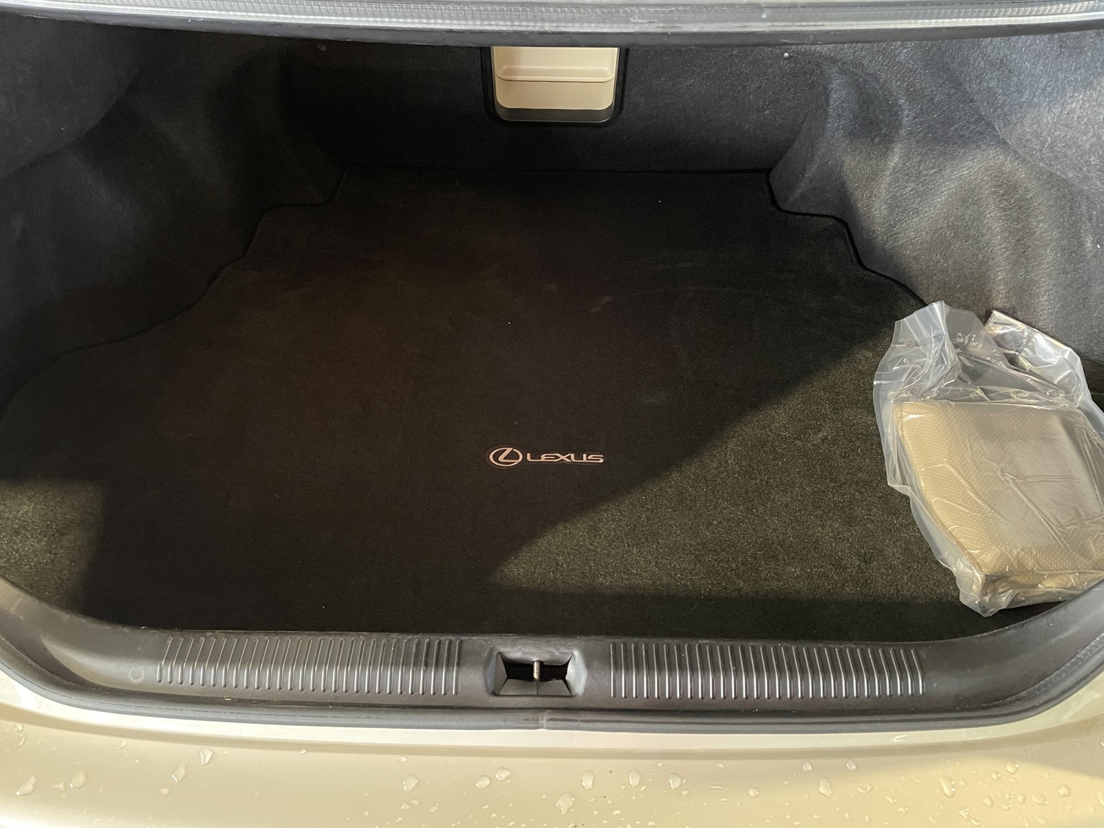 2010 Lexus ES 350 Base photo 11
