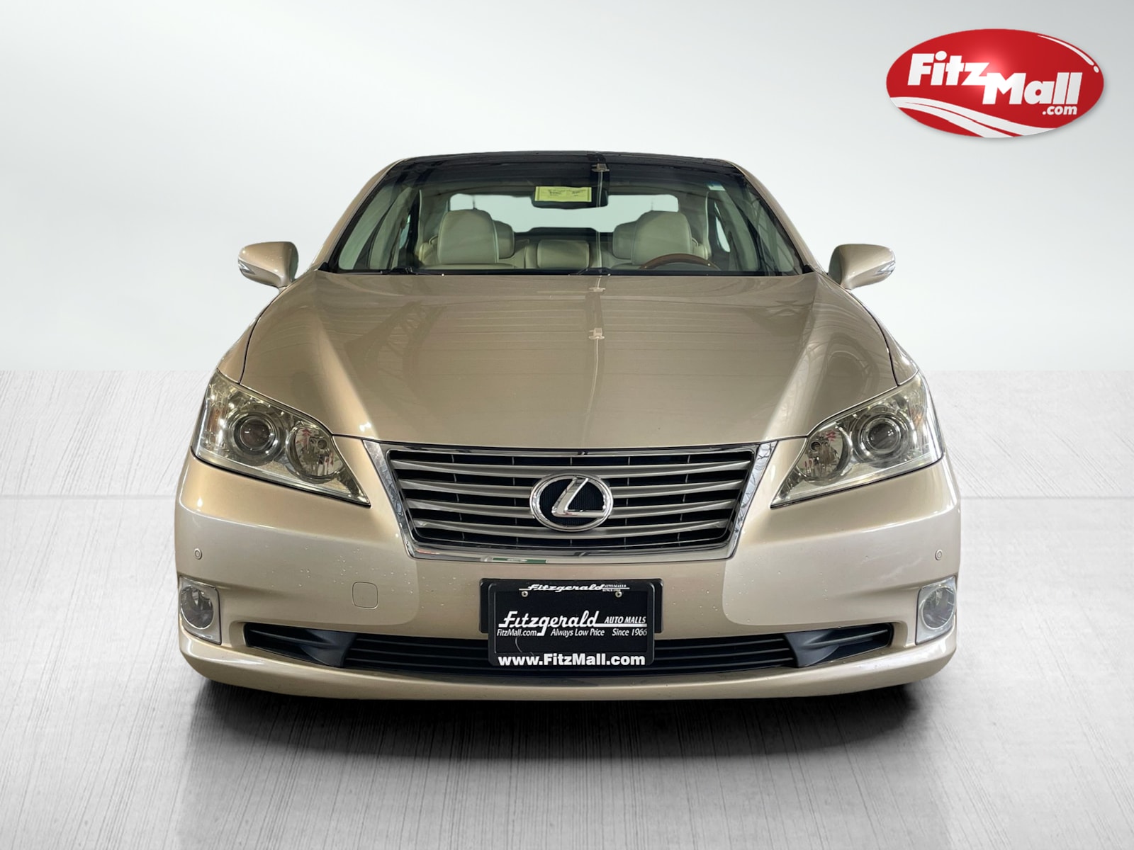 2010 Lexus ES 350 Base photo 5