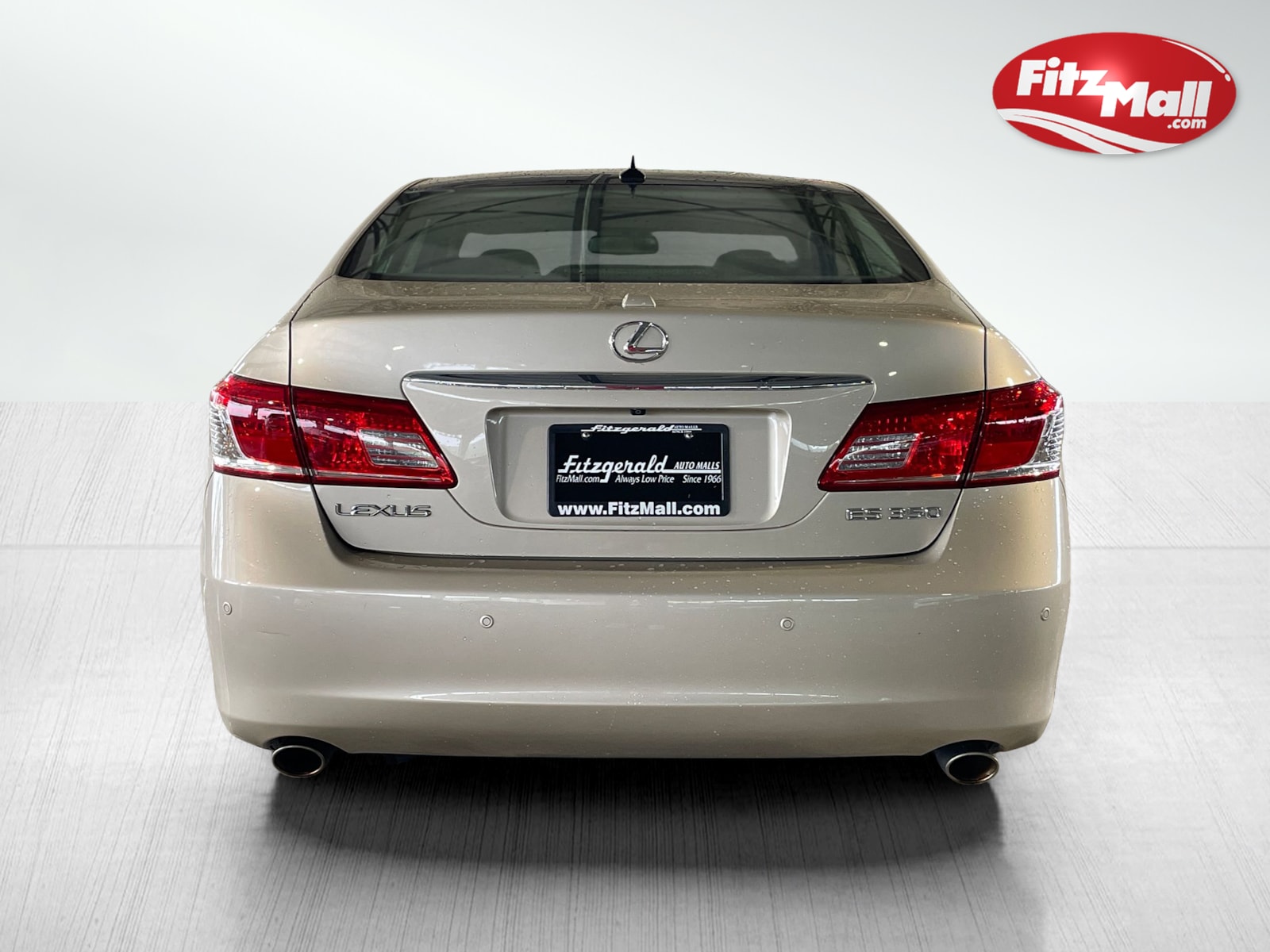2010 Lexus ES 350 Base photo 8