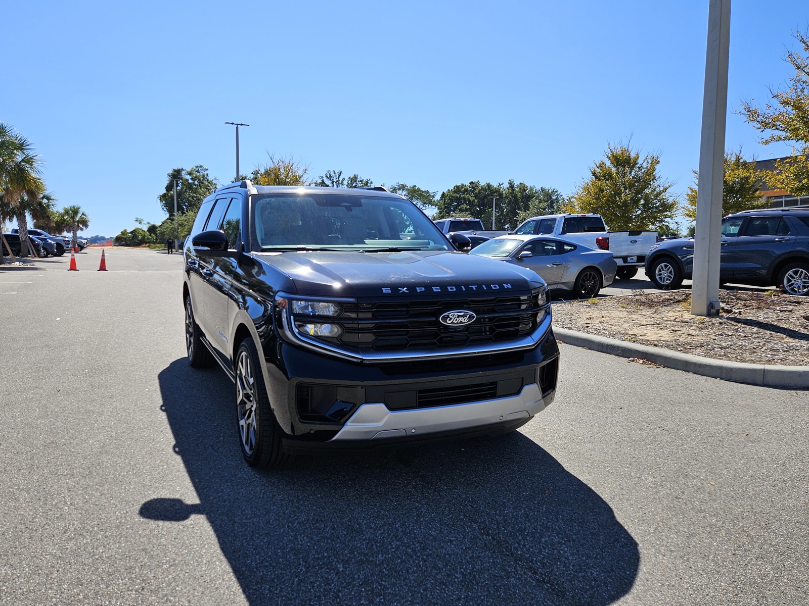 2025 Ford Expedition - Photo 4