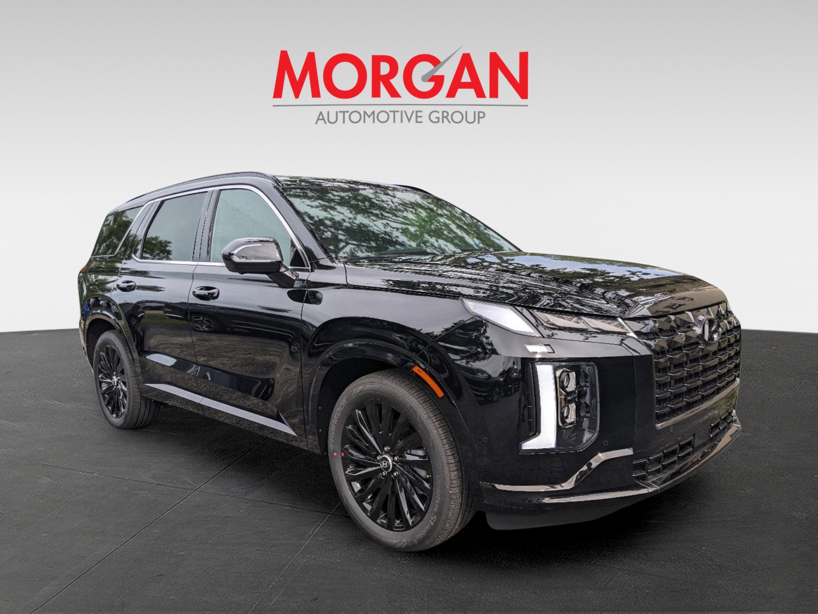 2025 Hyundai PALISADE - Photo 2