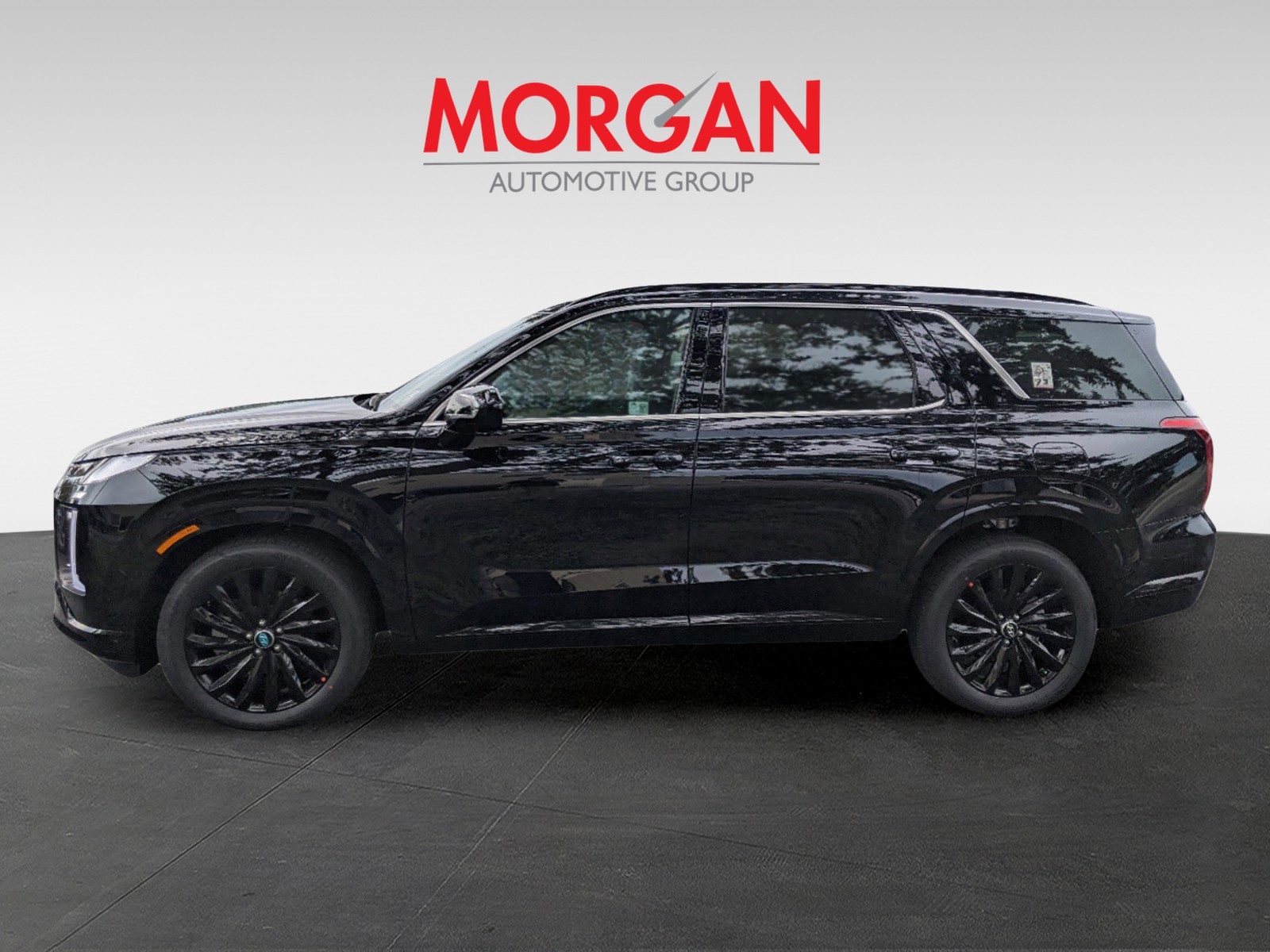 2025 Hyundai PALISADE - Photo 9