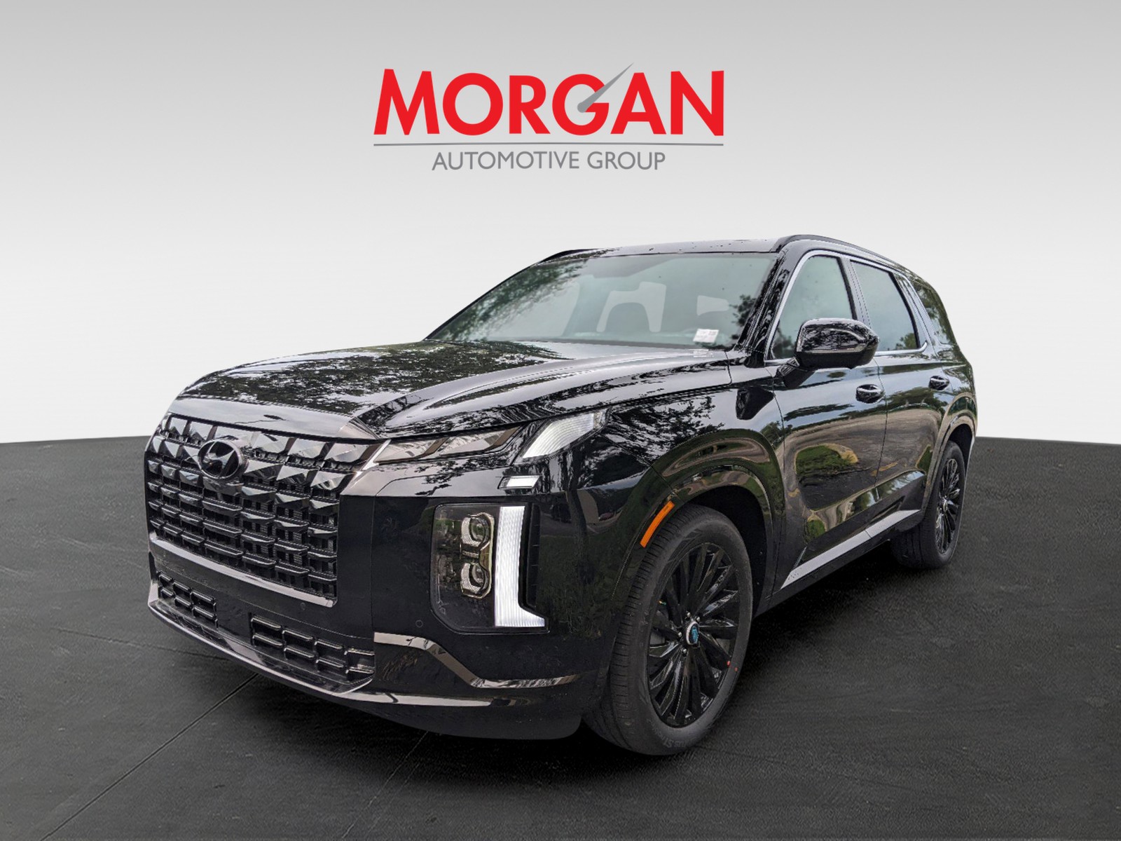 2025 Hyundai PALISADE - Photo 3