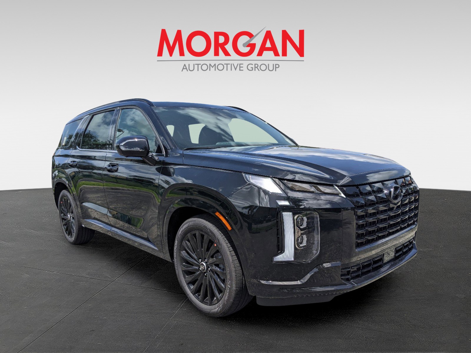 2025 Hyundai PALISADE - Photo 2