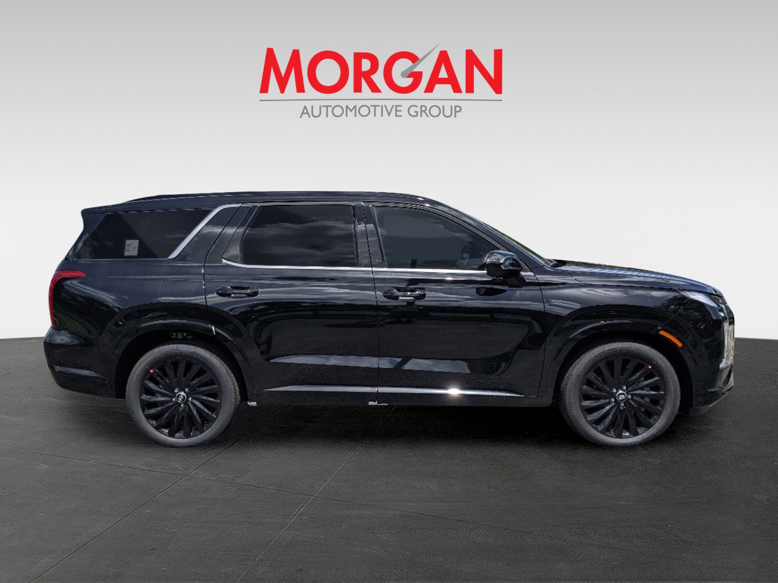 2025 Hyundai PALISADE - Photo 8