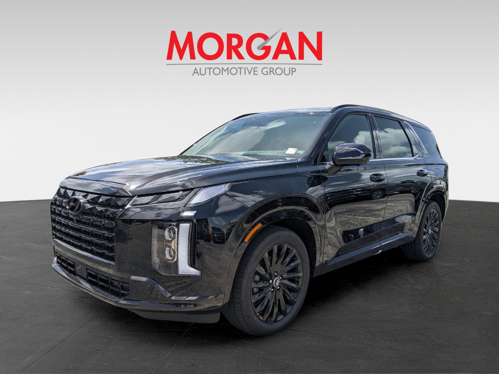 2025 Hyundai PALISADE - Photo 3