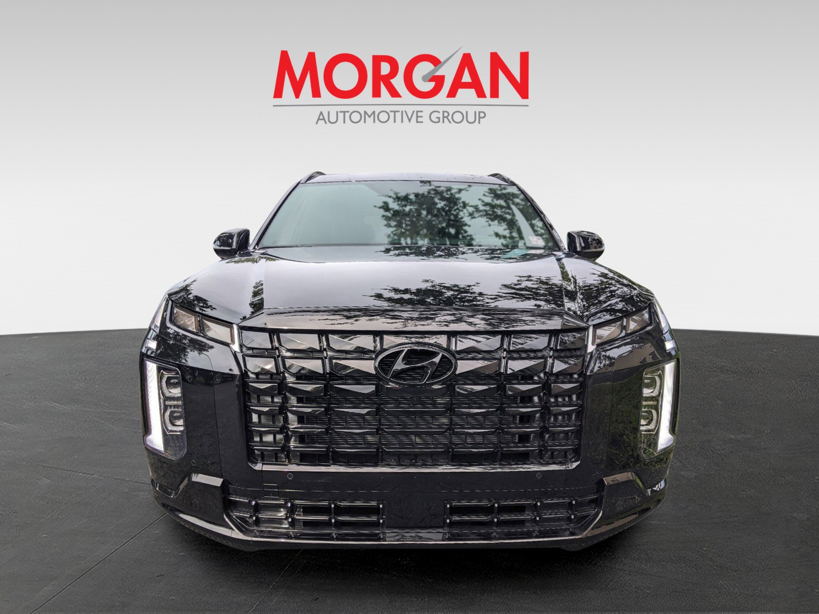 2025 Hyundai PALISADE - Photo 3