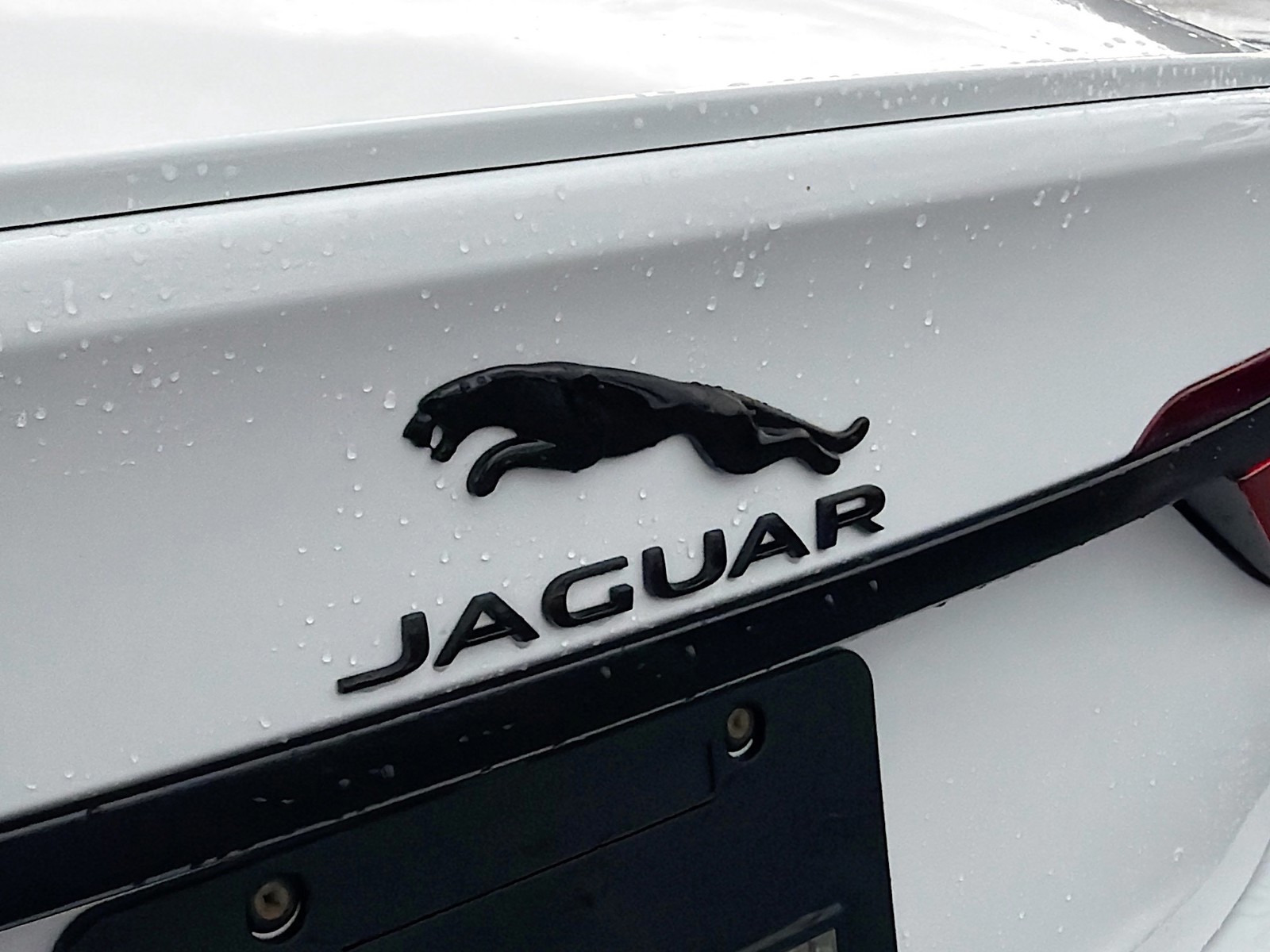 2024 Jaguar XF - Photo 11