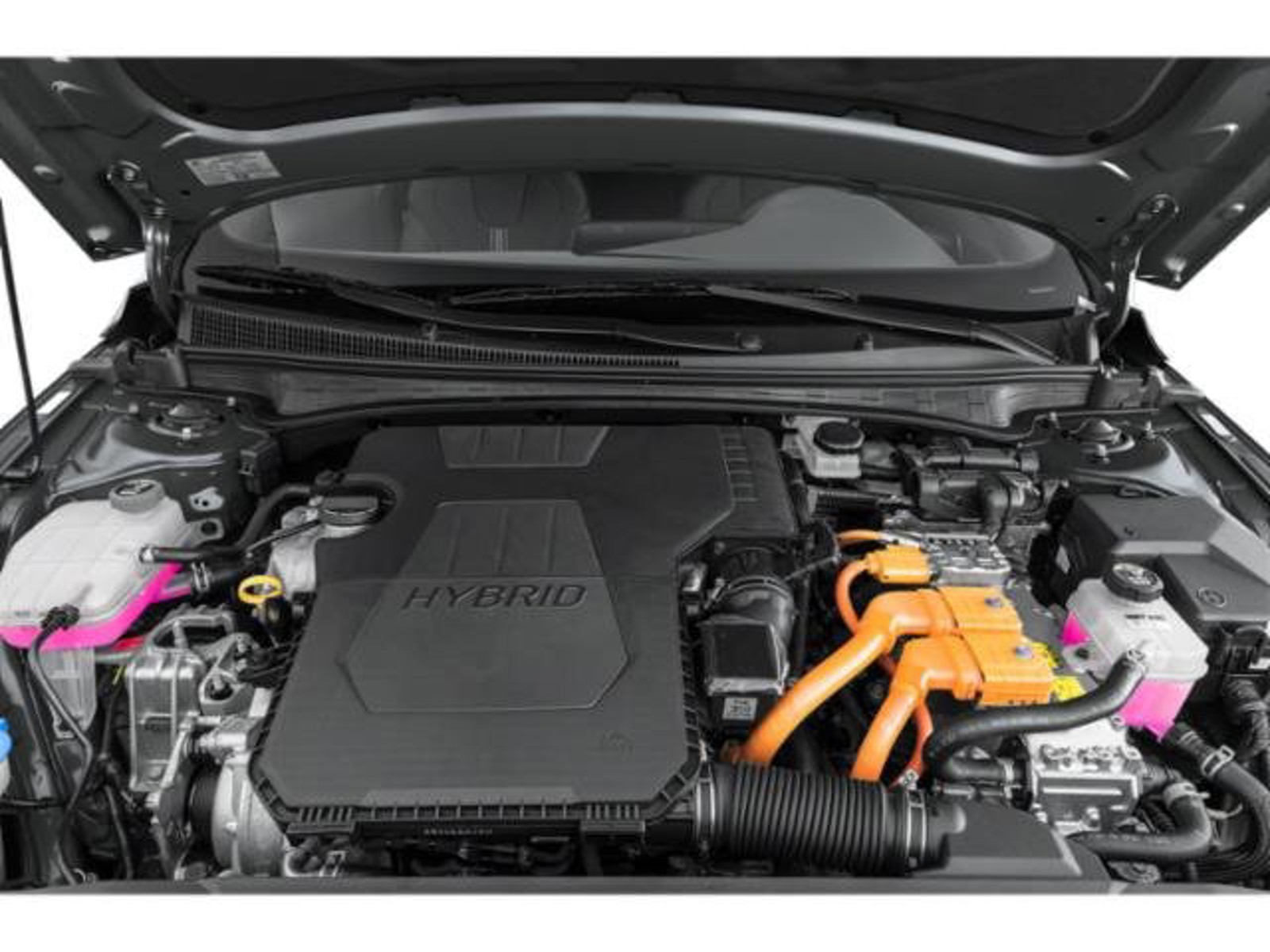2025 Hyundai ELANTRA HYBRID - Photo 15