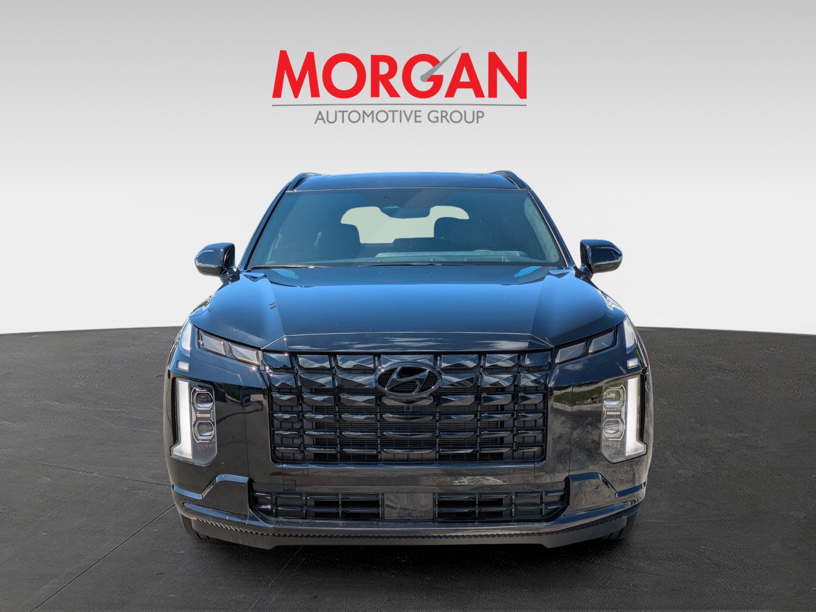 2025 Hyundai PALISADE - Photo 3