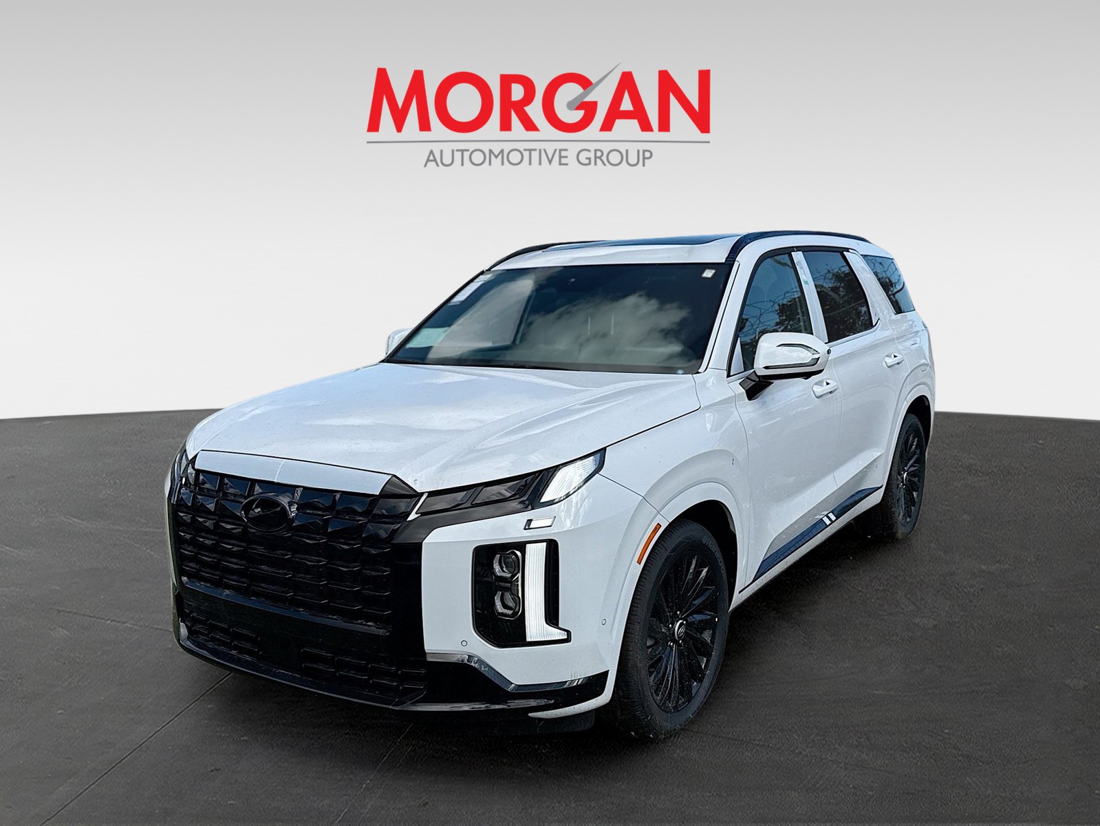 2025 Hyundai PALISADE - Photo 3