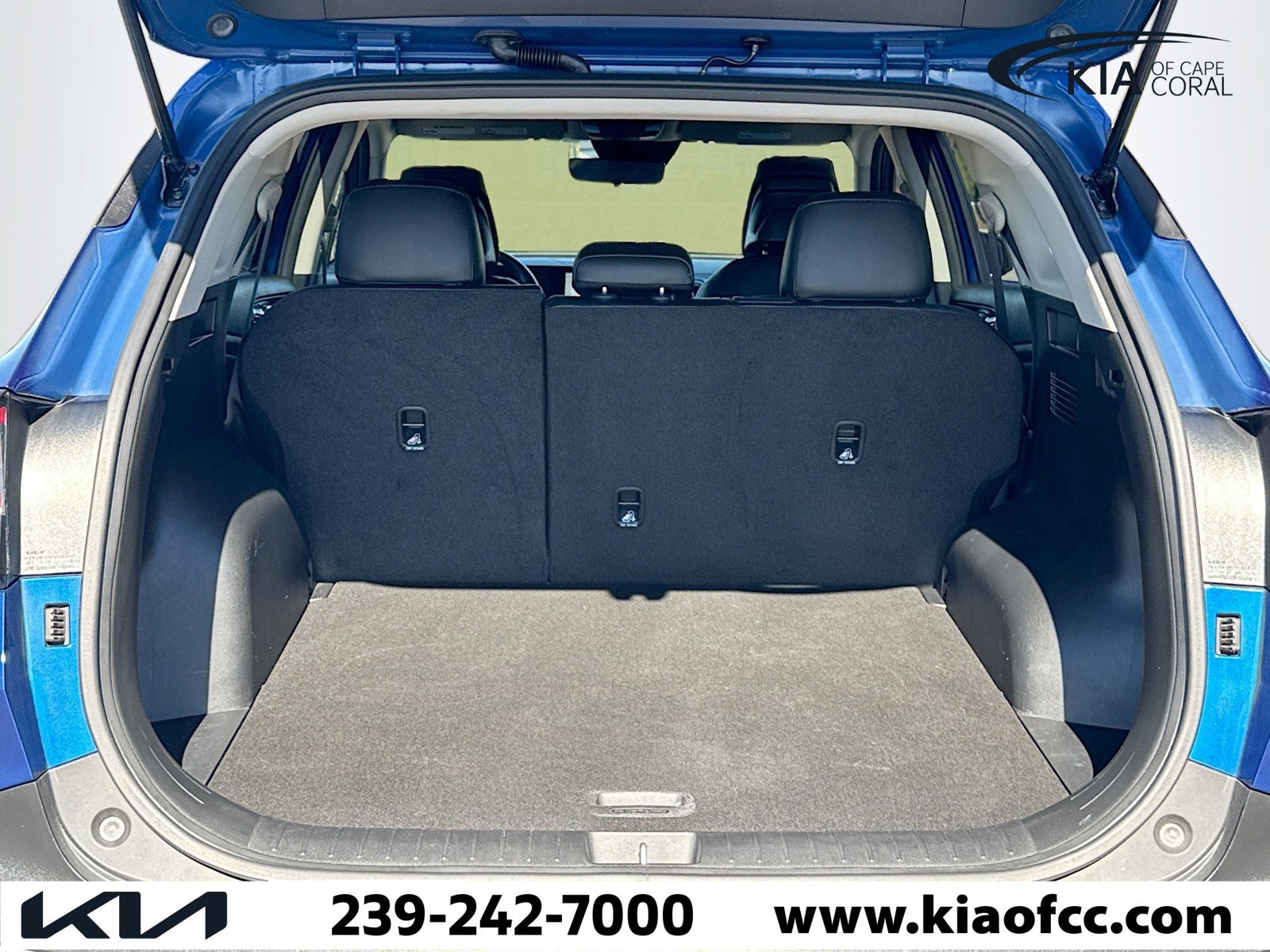 2024 Kia Sportage - Photo 12