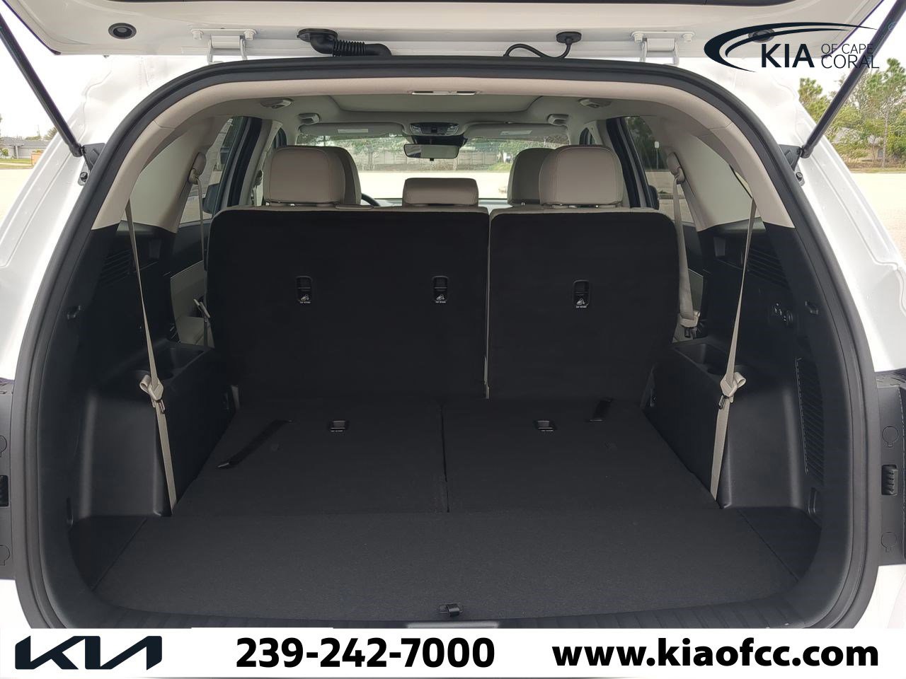 2025 Kia Sorento - Photo 12