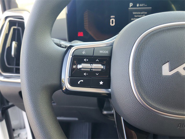 2025 Kia Sorento - Photo 11