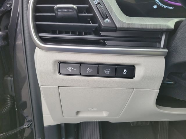 2025 Kia Telluride - Photo 10
