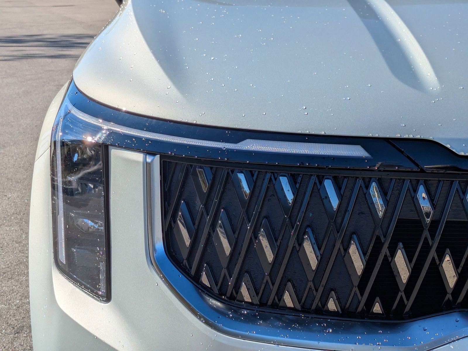 2026 Kia Carnival - Photo 10