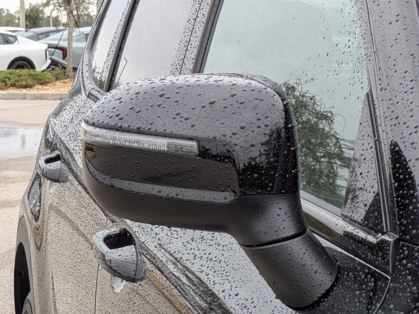 2025 Kia Telluride - Photo 12