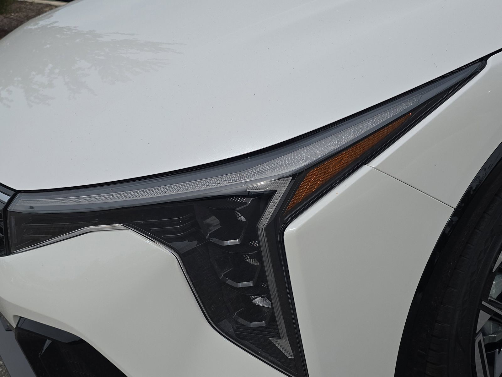 2025 Kia K4 - Photo 10