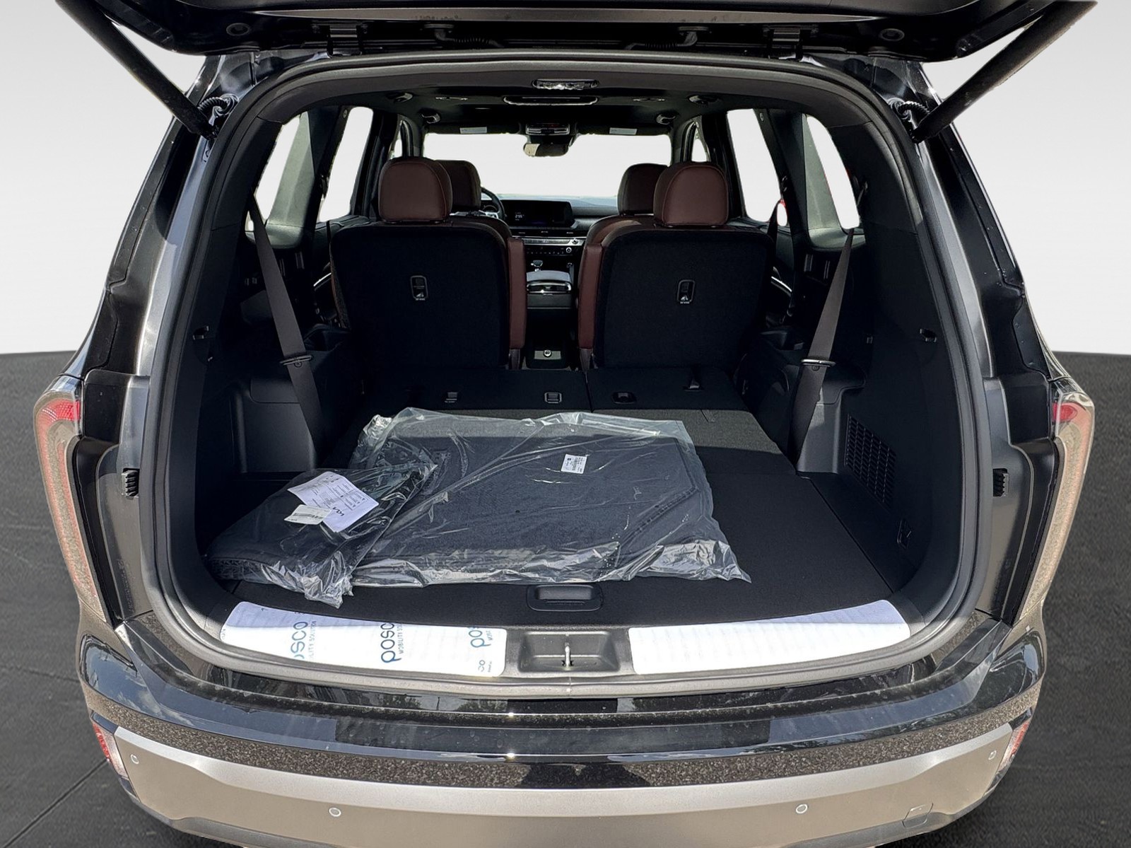 2025 Kia Telluride - Photo 10