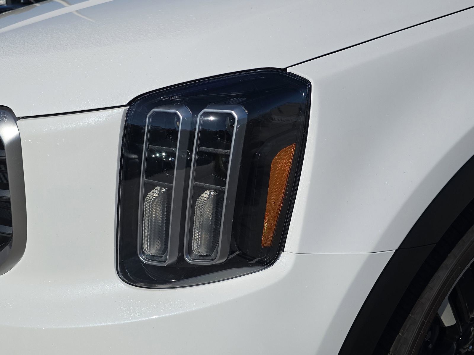 2025 Kia Telluride - Photo 10