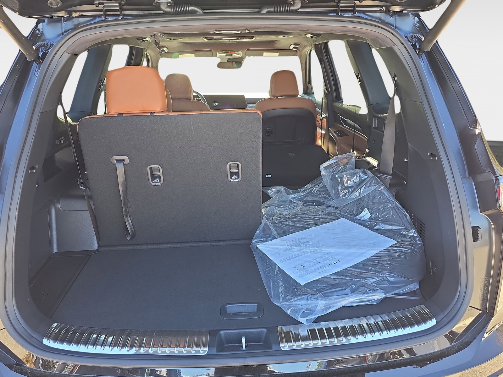 2025 Kia Telluride - Photo 10